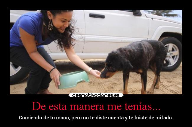 De esta manera me tenías... - Comiendo de tu mano, pero no te diste cuenta y te fuiste de mi lado.