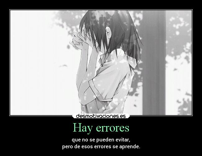 Hay errores -