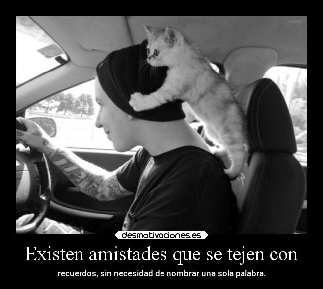 Existen amistades que se tejen con - recuerdos, sin necesidad de nombrar una sola palabra.