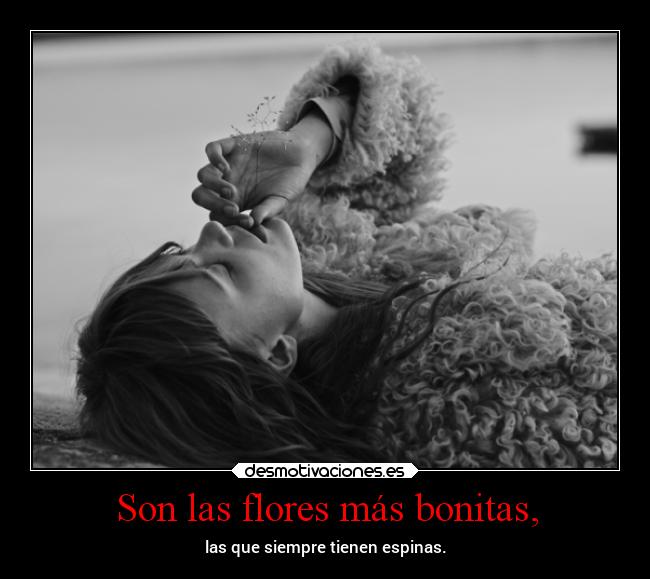 carteles desmotivaciones desmotivaciones