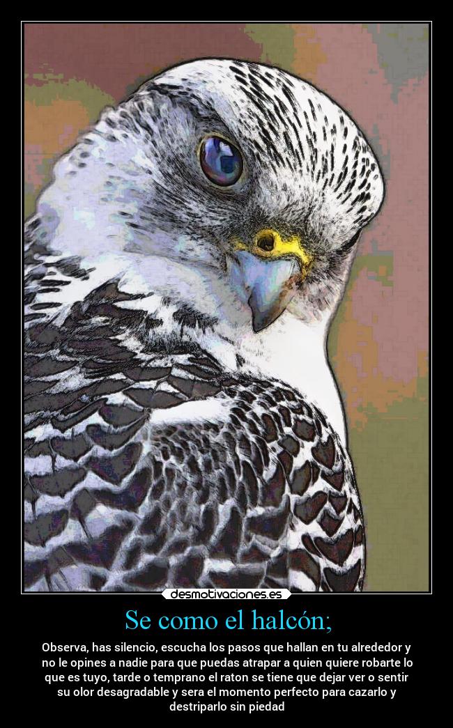 Se como el halcón; -