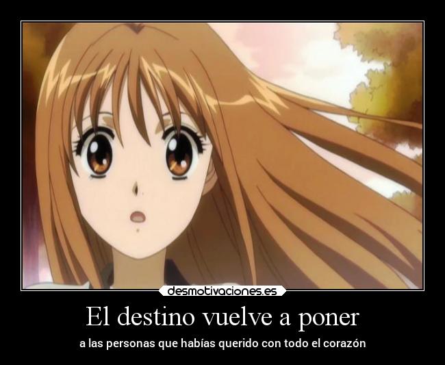 El destino vuelve a poner - a las personas que habías querido con todo el corazón