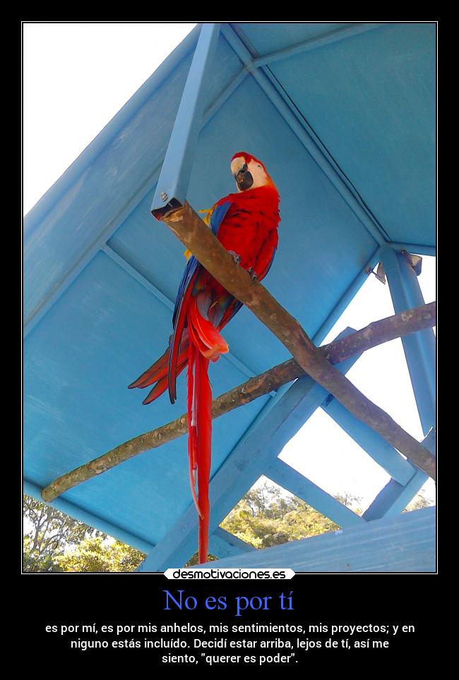 No es por tí -