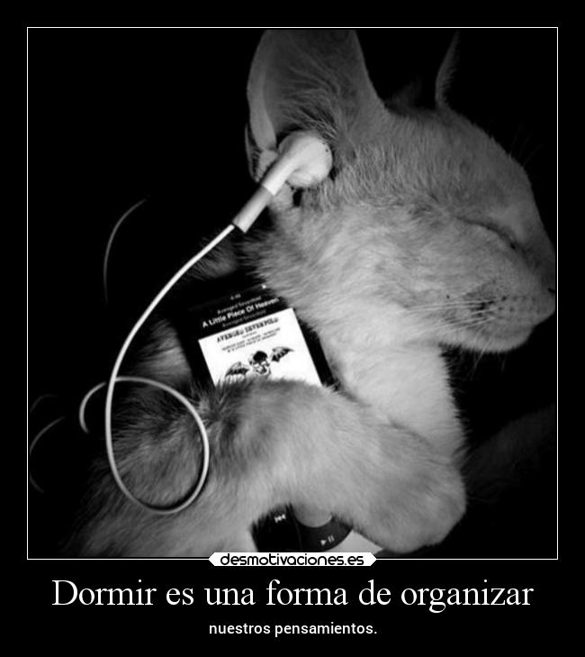 Dormir es una forma de organizar - 