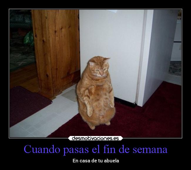Cuando pasas el fin de semana - 