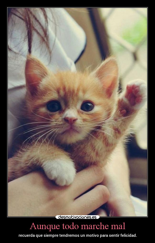 Aunque todo marche mal -