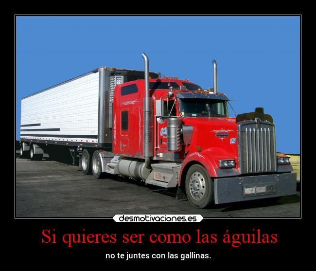 Si quieres ser como las águilas - no te juntes con las gallinas.