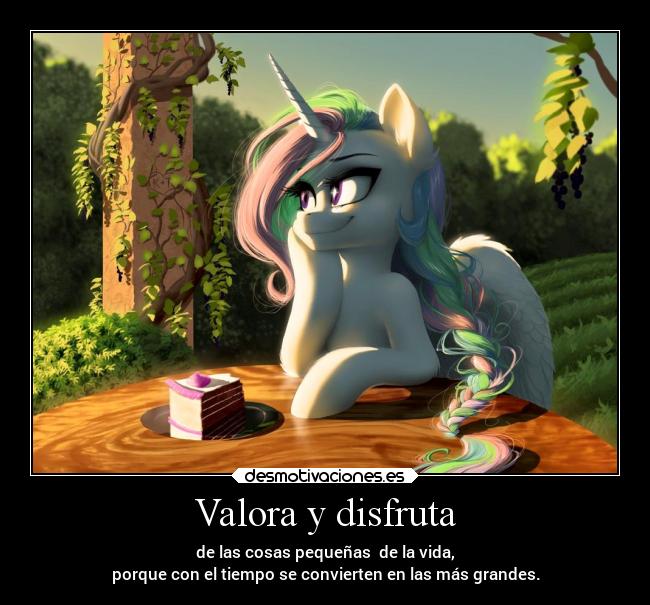 Valora y disfruta -