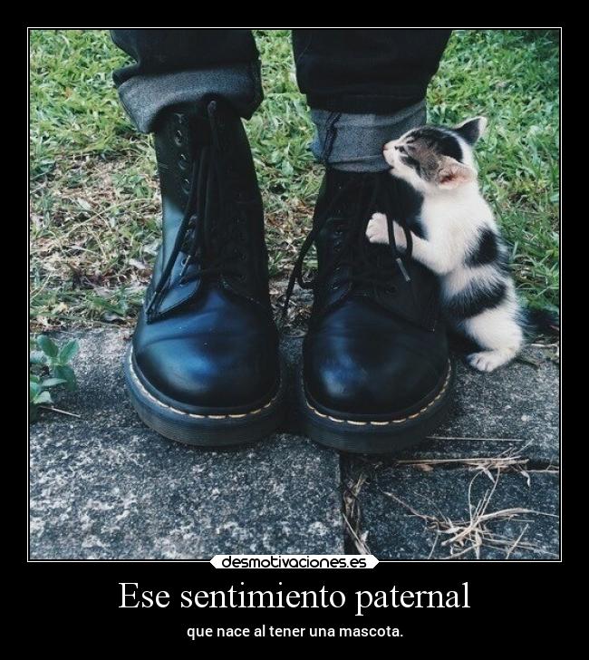 Ese sentimiento paternal -