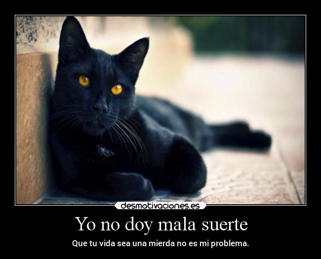 Yo no doy mala suerte - 