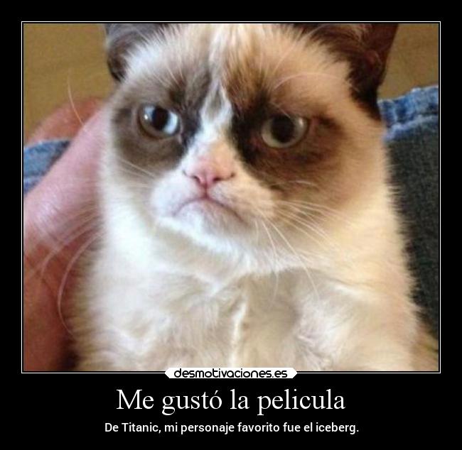 carteles gatos titanic gato serio desmotivaciones