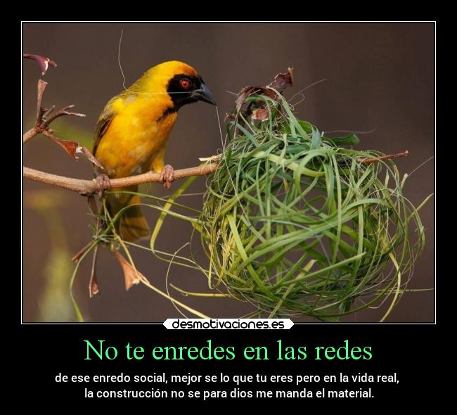 No te enredes en las redes -