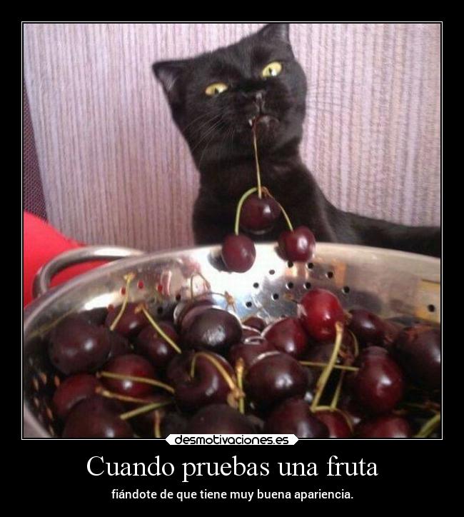 Cuando pruebas una fruta - 