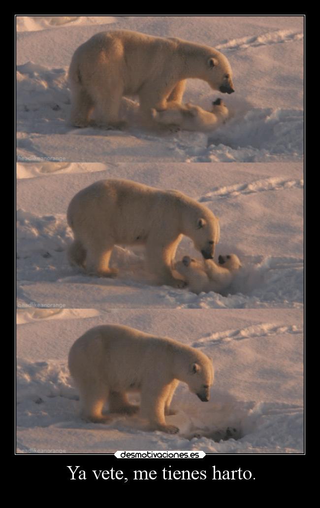 Ya vete, me tienes harto. -