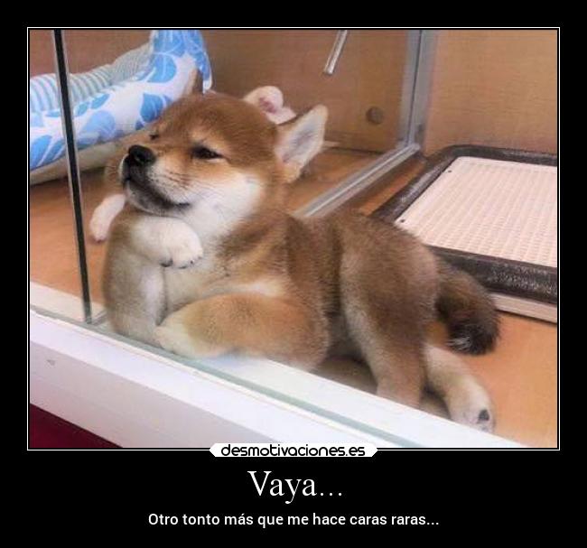 Vaya... -
