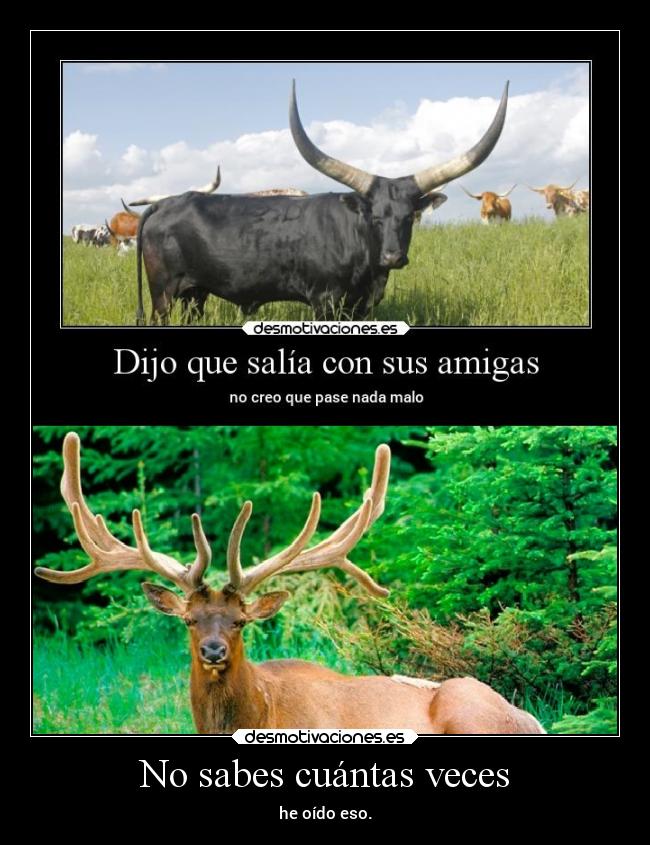 No sabes cuántas veces - 