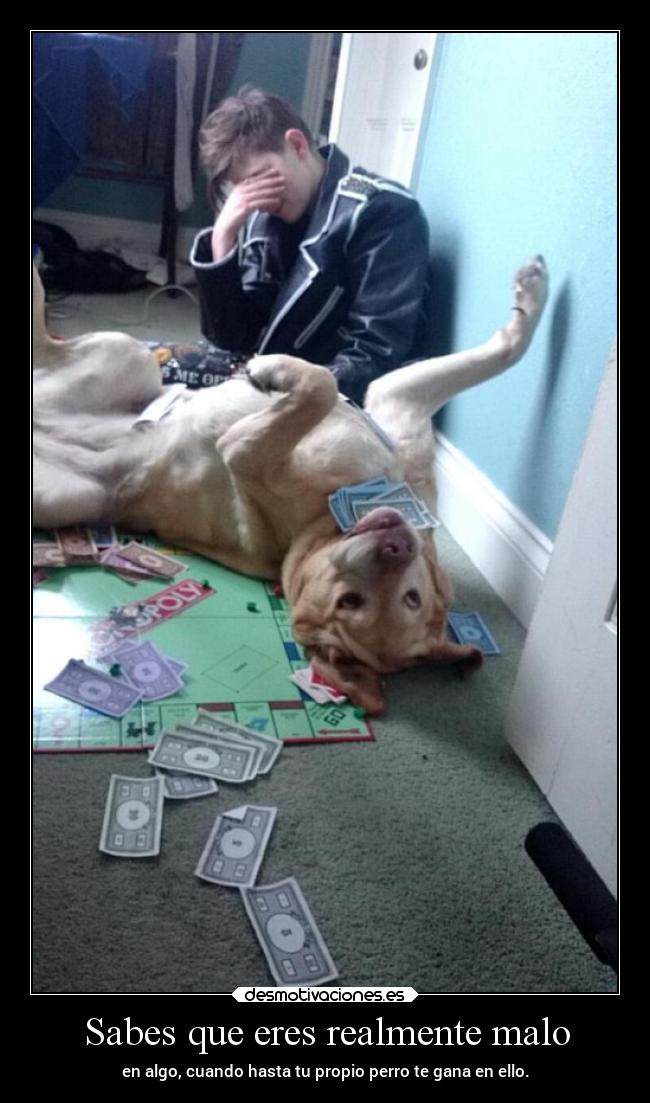 carteles humor davor safth clandesplazado soyunidiotatm perrosmolanmasquegatos guapamianyi desmotivaciones