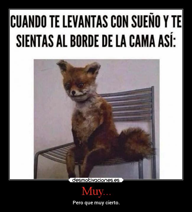 carteles humor dormir zorro humano zorra humana yokese nosoy cientifico desmotivaciones
