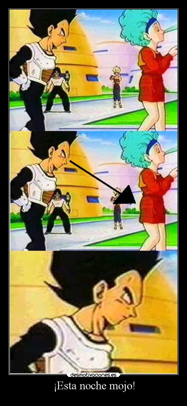 carteles humor dragonball vegetarepartidordesalami bulmaa4patas vivaelpaint pixelesrules desmotivaciones