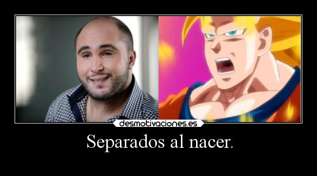 carteles humor dragonballsuper paquirrin goku lesunieronlosbollicaos elpatodelapiovendehierba desmotivaciones