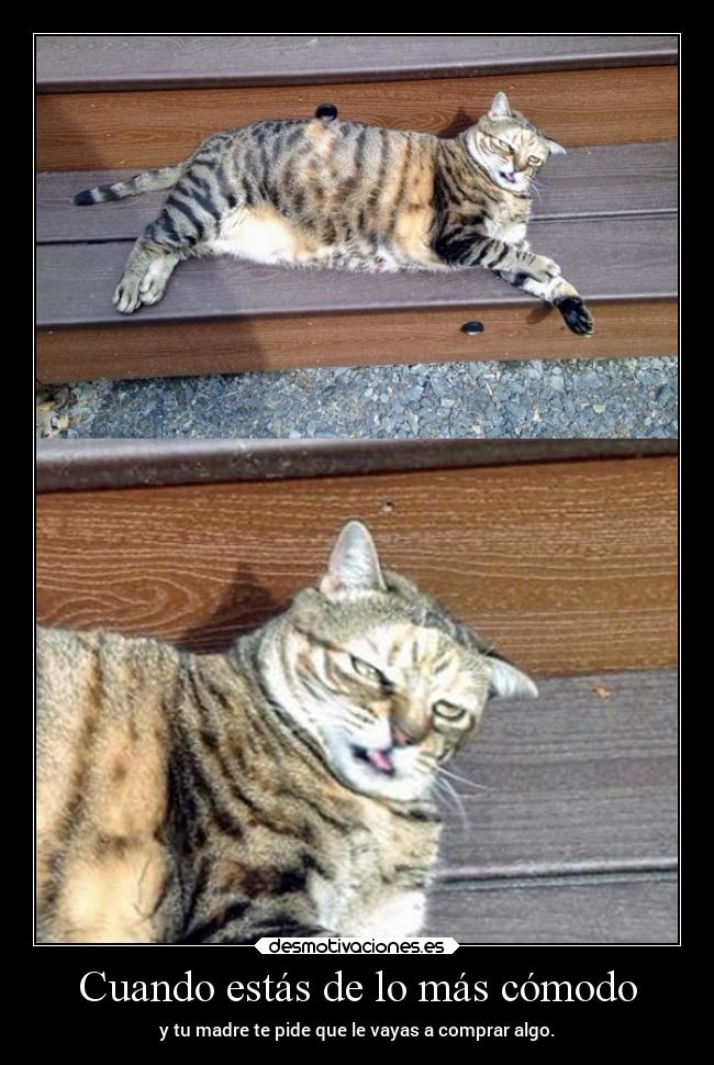 Cuando estás de lo más cómodo - 