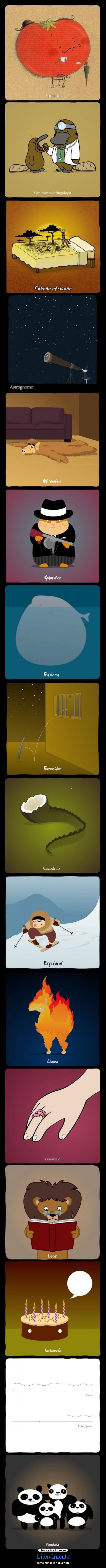 Literalmente - como nunca lo había visto