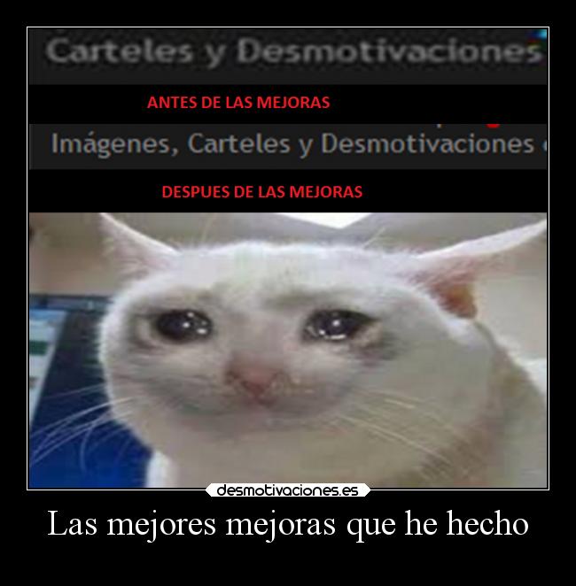 Las mejores mejoras que he hecho -