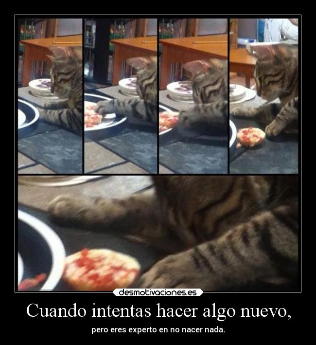 Cuando intentas hacer algo nuevo, -