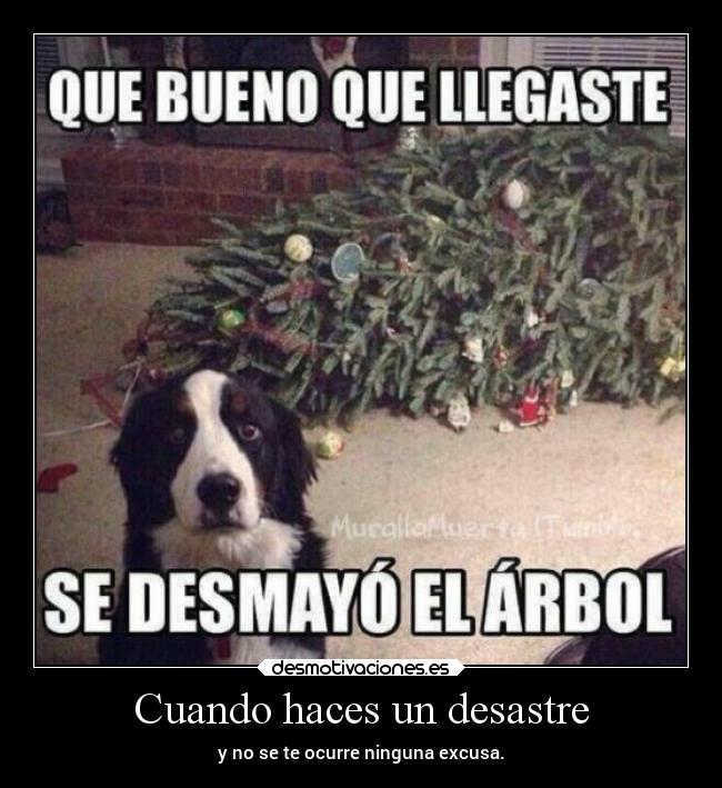 carteles humor perro arbol excusa naranjero desmotivaciones