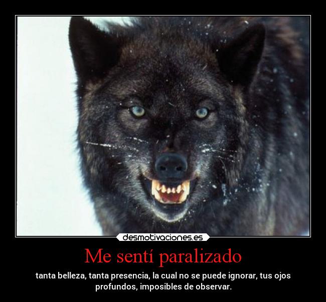 Me sentí paralizado - tanta belleza, tanta presencia, la cual no se puede ignorar, tus ojos
profundos, imposibles de observar.