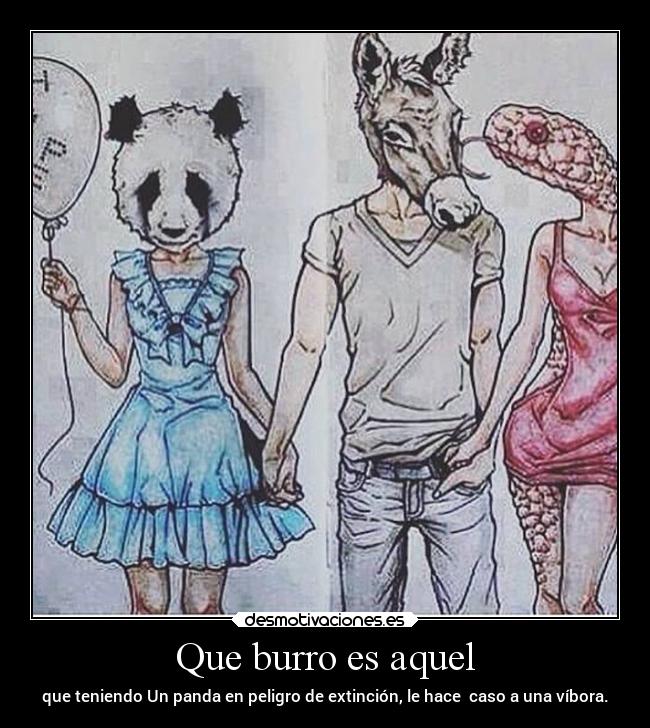 Que burro es aquel - que teniendo Un panda en peligro de extinción, le hace caso a una víbora.