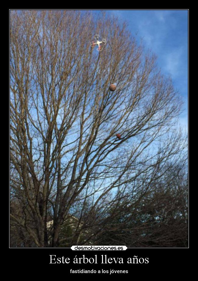 Este árbol lleva años - fastidiando a los jóvenes