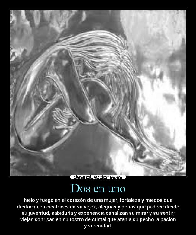 carteles literatura desmotivaciones