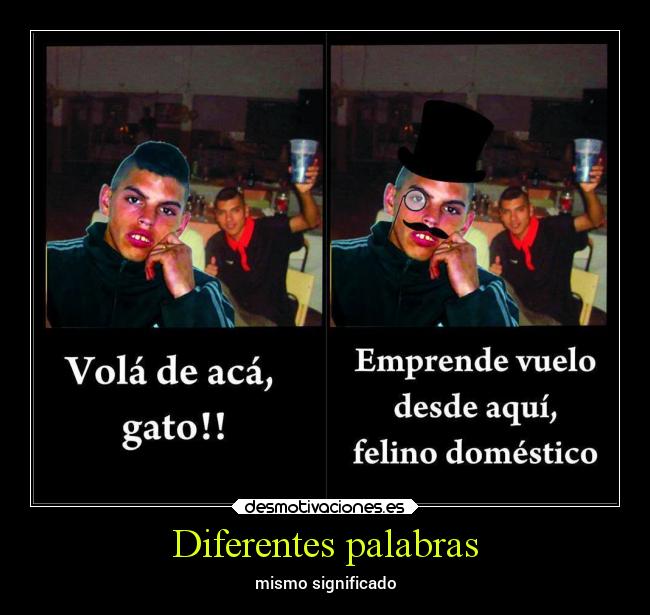 carteles memes villeros gato palabras significado desmotivaciones