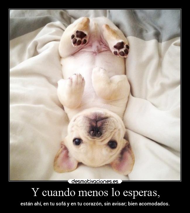 Y cuando menos lo esperas, - 