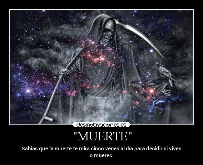 carteles muerte muerte desmotivaciones