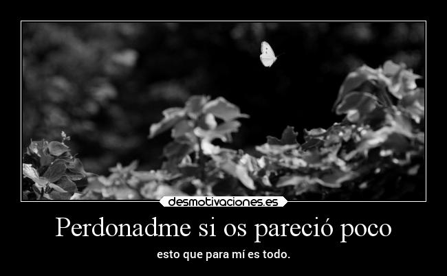 Perdonadme si os pareció poco -