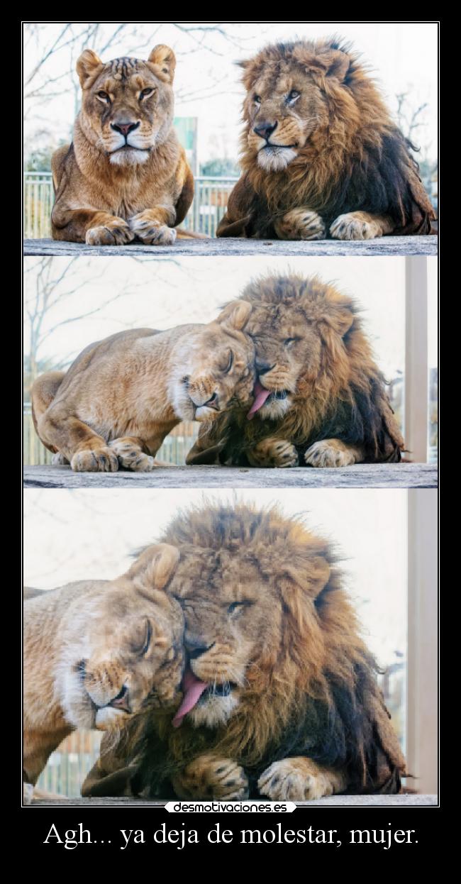 Agh... ya deja de molestar, mujer. -