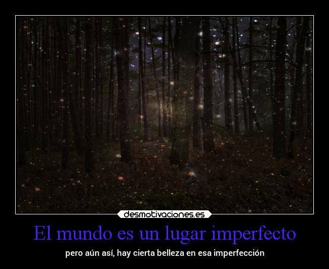 El mundo es un lugar imperfecto - 