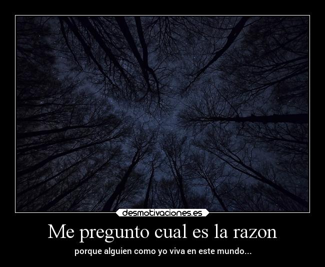 Me pregunto cual es la razon -