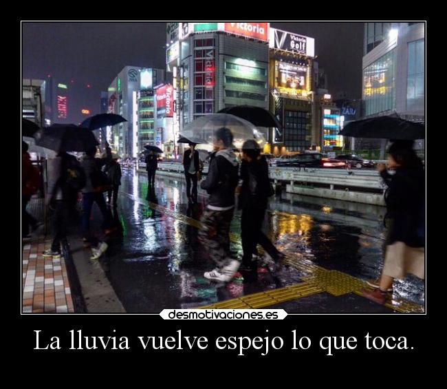 La lluvia vuelve espejo lo que toca. - 