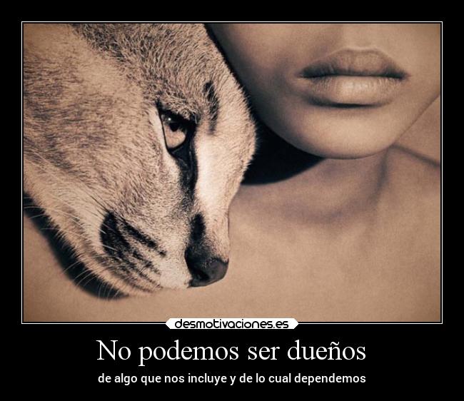 No podemos ser dueños -