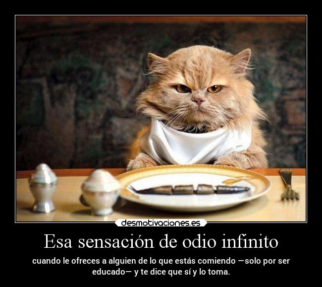 Esa sensación de odio infinito -