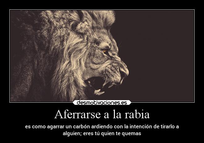 Aferrarse a la rabia - es como agarrar un carbón ardiendo con la intención de tirarlo a
alguien; eres tú quien te quemas