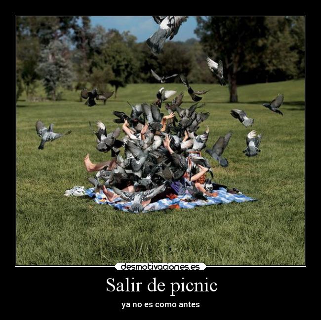Salir de picnic - 