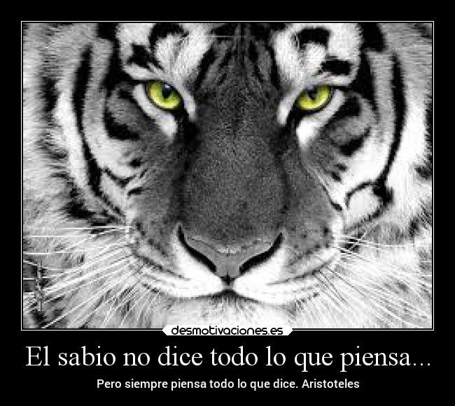 carteles pensamientos desmotivaciones