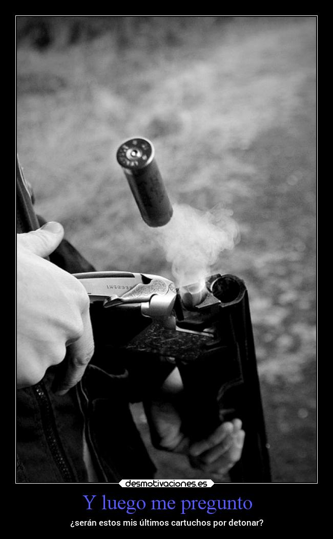 carteles problemas nada gatodelentes escopeta tiempo material mentenublada desmotivaciones