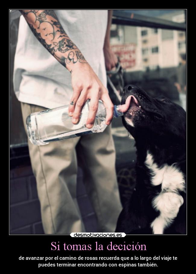 Si tomas la decición - de avanzar por el camino de rosas recuerda que a lo largo del viaje te
puedes terminar encontrando con espinas también.