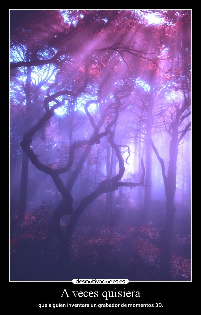 A veces quisiera - que alguien inventara un grabador de momentos 3D.