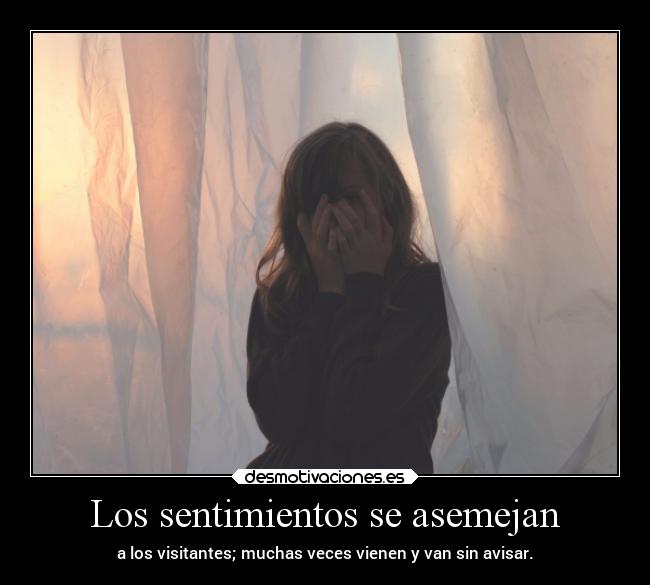 Los sentimientos se asemejan -